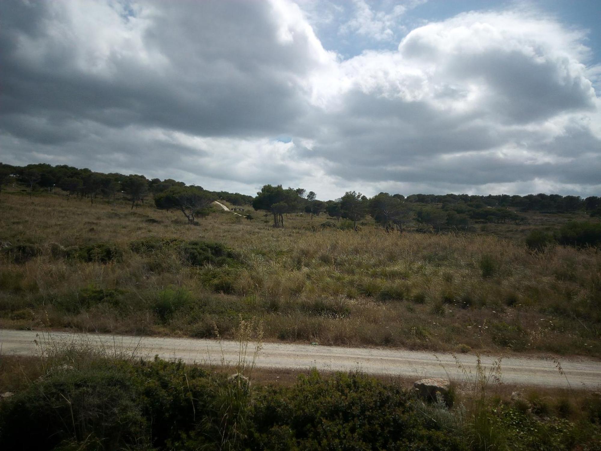 Castellsol Arenal Home Beach Punta Grossa Quarto foto